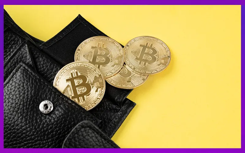 Ví crypto lưu trữ coin an toàn sau khi cá cược tiền điện tử